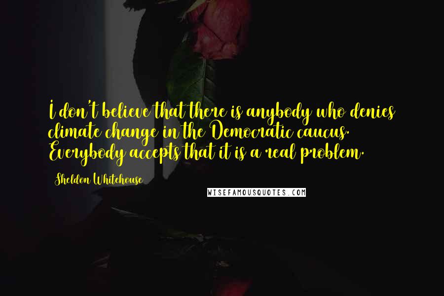Sheldon Whitehouse Quotes: I don't believe that there is anybody who denies climate change in the Democratic caucus. Everybody accepts that it is a real problem.
