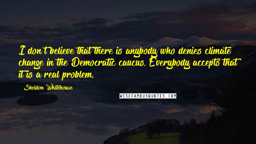 Sheldon Whitehouse Quotes: I don't believe that there is anybody who denies climate change in the Democratic caucus. Everybody accepts that it is a real problem.