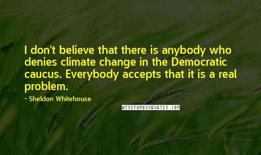 Sheldon Whitehouse Quotes: I don't believe that there is anybody who denies climate change in the Democratic caucus. Everybody accepts that it is a real problem.