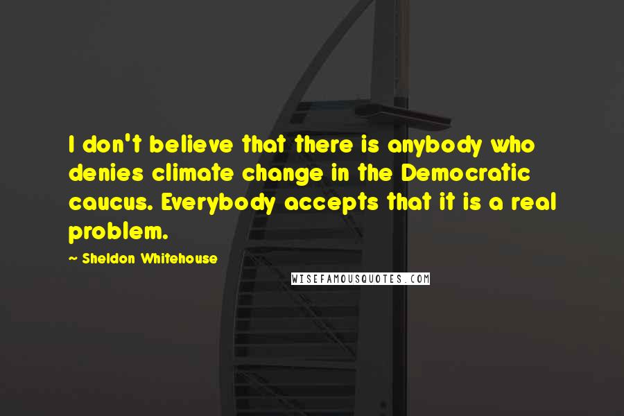 Sheldon Whitehouse Quotes: I don't believe that there is anybody who denies climate change in the Democratic caucus. Everybody accepts that it is a real problem.