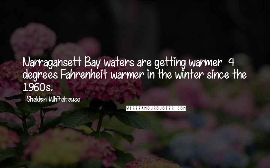 Sheldon Whitehouse Quotes: Narragansett Bay waters are getting warmer  4 degrees Fahrenheit warmer in the winter since the 1960s.