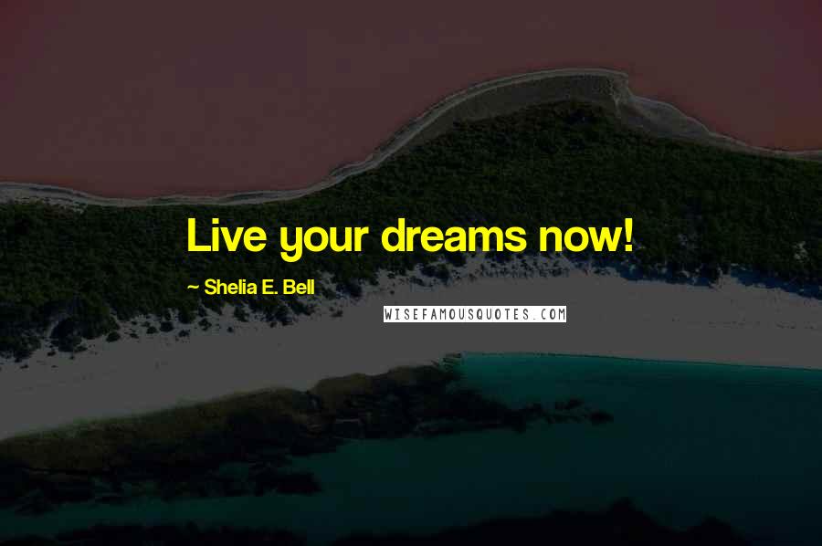 Shelia E. Bell Quotes: Live your dreams now!