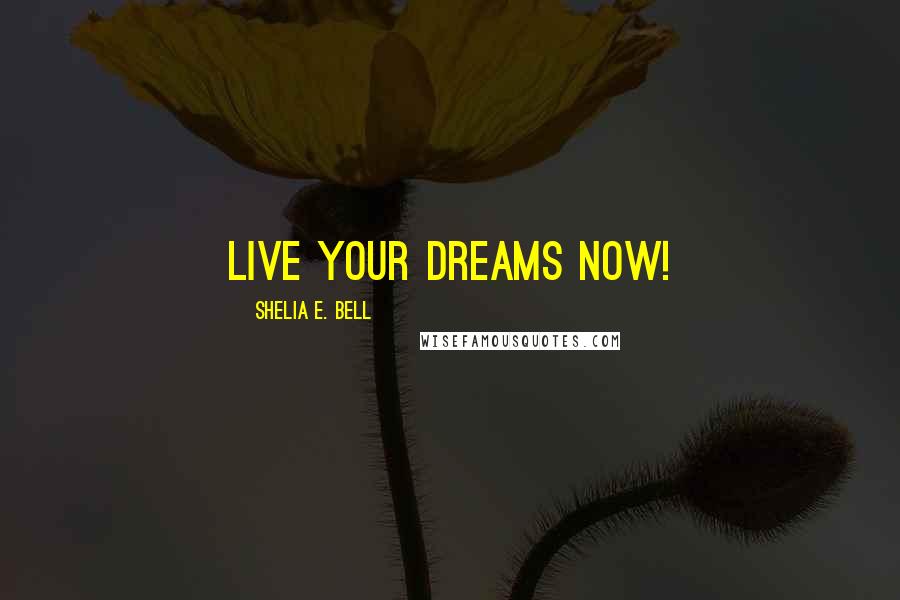 Shelia E. Bell Quotes: Live your dreams now!