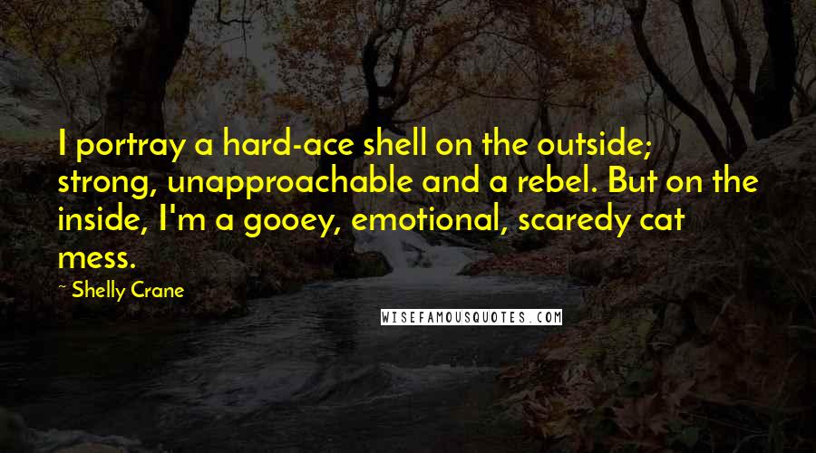 Shelly Crane Quotes: I portray a hard-ace shell on the outside; strong, unapproachable and a rebel. But on the inside, I'm a gooey, emotional, scaredy cat mess.