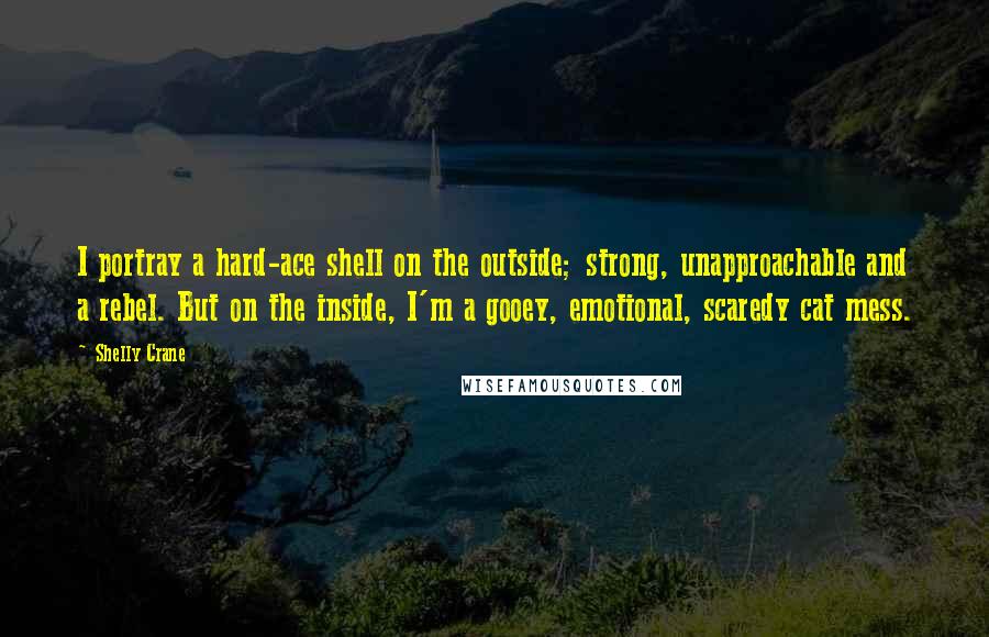 Shelly Crane Quotes: I portray a hard-ace shell on the outside; strong, unapproachable and a rebel. But on the inside, I'm a gooey, emotional, scaredy cat mess.