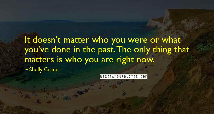 Shelly Crane Quotes: It doesn't matter who you were or what you've done in the past. The only thing that matters is who you are right now.