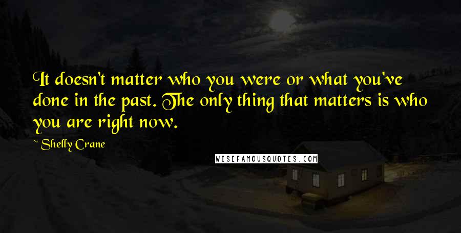 Shelly Crane Quotes: It doesn't matter who you were or what you've done in the past. The only thing that matters is who you are right now.