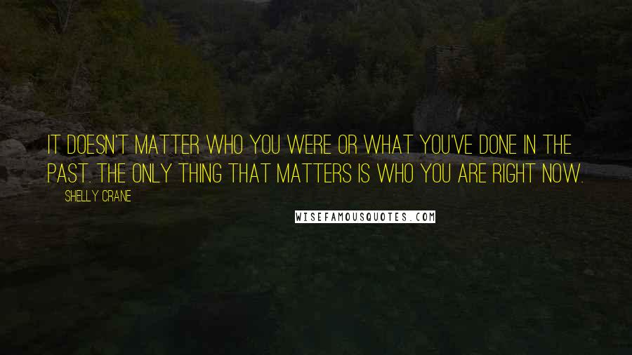 Shelly Crane Quotes: It doesn't matter who you were or what you've done in the past. The only thing that matters is who you are right now.