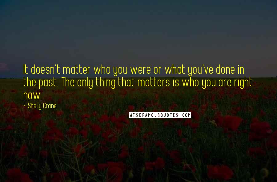 Shelly Crane Quotes: It doesn't matter who you were or what you've done in the past. The only thing that matters is who you are right now.