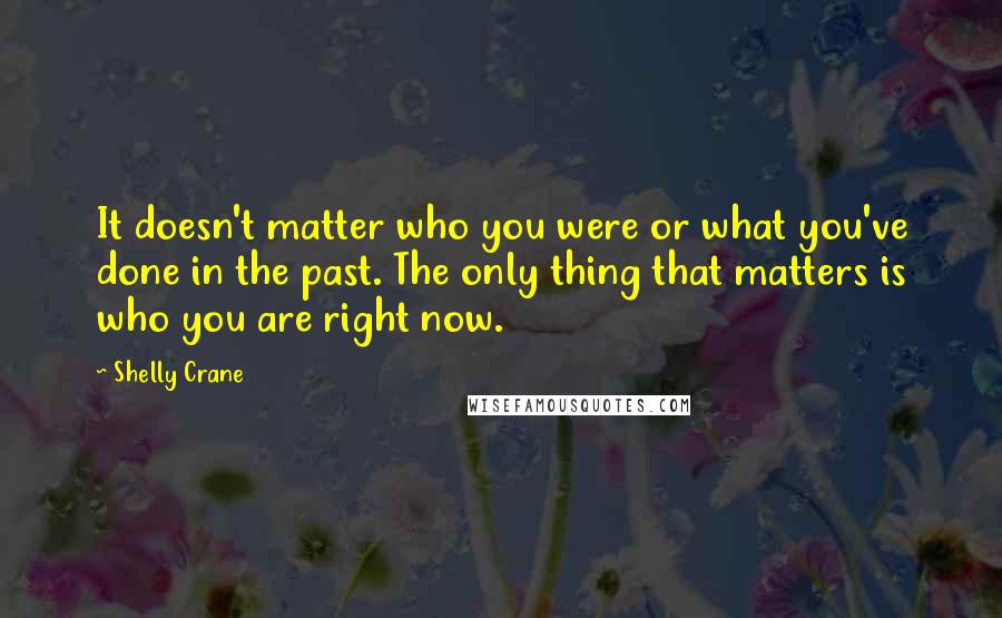 Shelly Crane Quotes: It doesn't matter who you were or what you've done in the past. The only thing that matters is who you are right now.