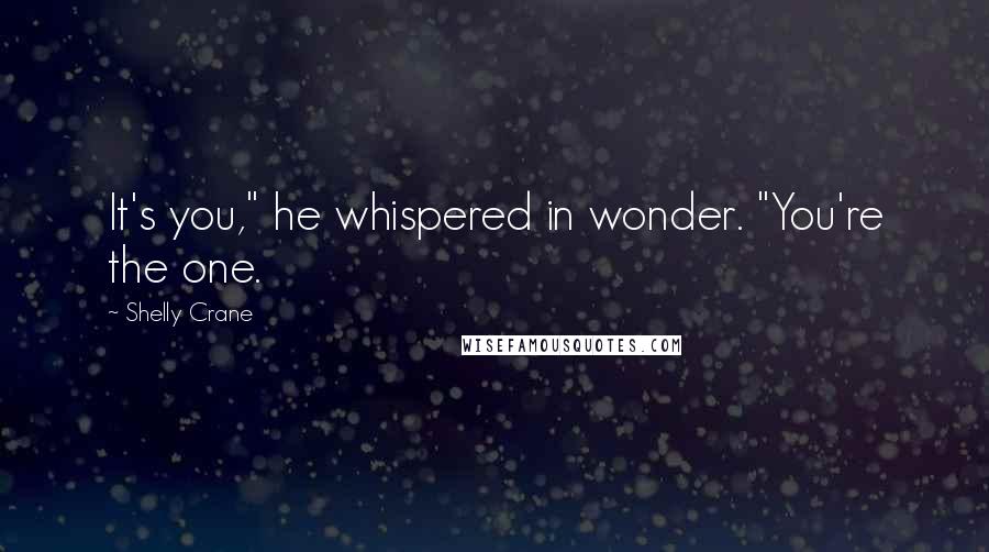 Shelly Crane Quotes: It's you," he whispered in wonder. "You're the one.