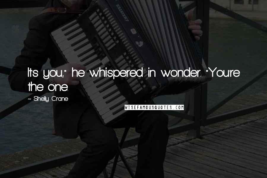 Shelly Crane Quotes: It's you," he whispered in wonder. "You're the one.