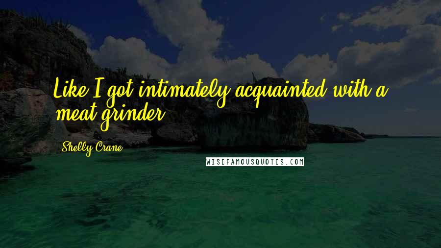 Shelly Crane Quotes: Like I got intimately acquainted with a meat grinder.