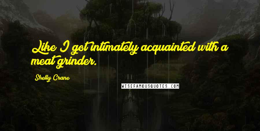 Shelly Crane Quotes: Like I got intimately acquainted with a meat grinder.