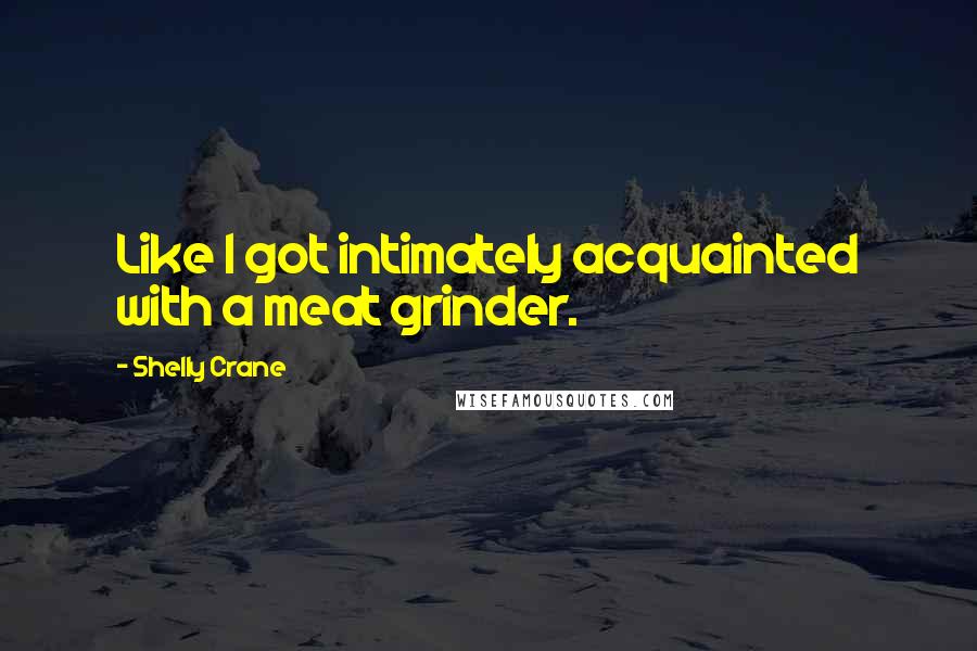 Shelly Crane Quotes: Like I got intimately acquainted with a meat grinder.