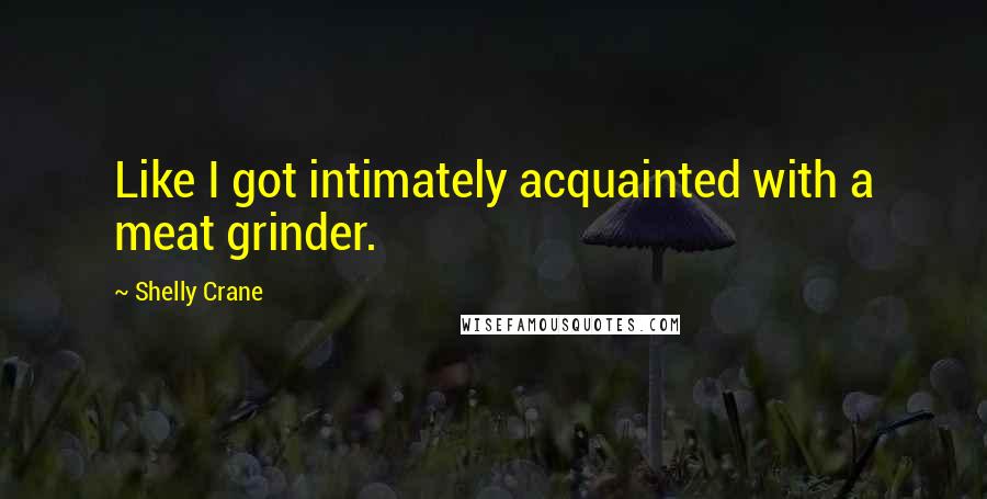 Shelly Crane Quotes: Like I got intimately acquainted with a meat grinder.