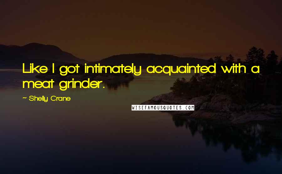 Shelly Crane Quotes: Like I got intimately acquainted with a meat grinder.
