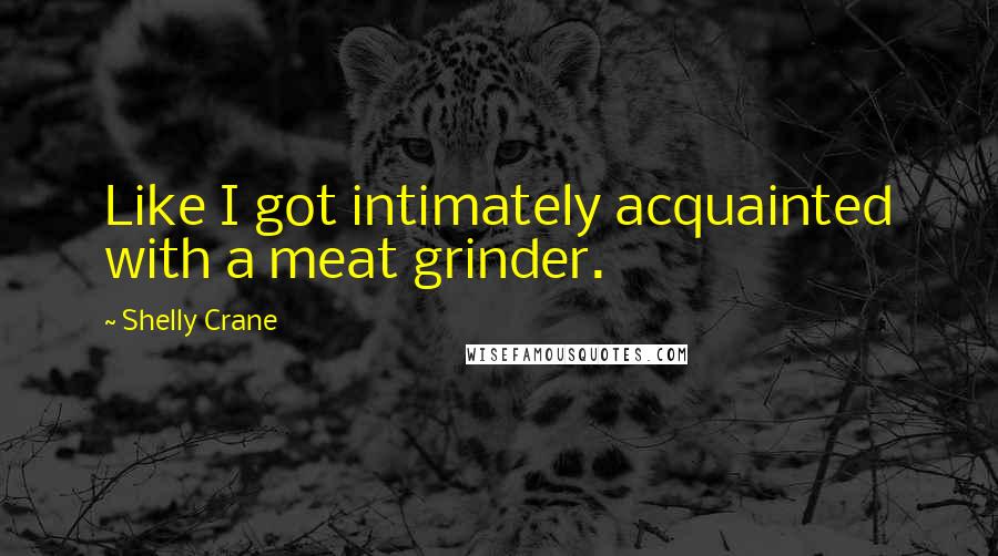 Shelly Crane Quotes: Like I got intimately acquainted with a meat grinder.