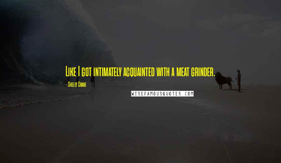 Shelly Crane Quotes: Like I got intimately acquainted with a meat grinder.