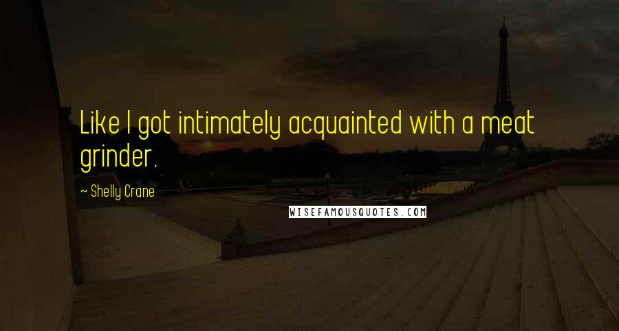 Shelly Crane Quotes: Like I got intimately acquainted with a meat grinder.