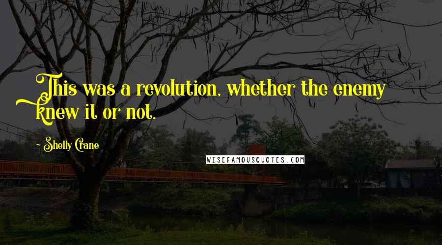 Shelly Crane Quotes: This was a revolution, whether the enemy knew it or not.