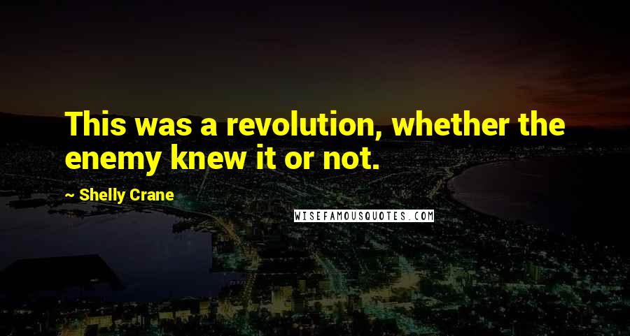 Shelly Crane Quotes: This was a revolution, whether the enemy knew it or not.