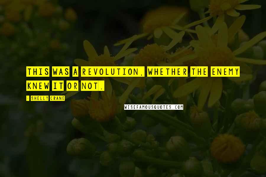 Shelly Crane Quotes: This was a revolution, whether the enemy knew it or not.