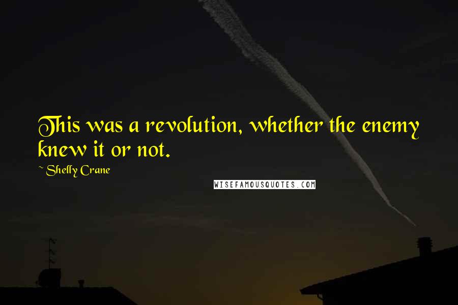 Shelly Crane Quotes: This was a revolution, whether the enemy knew it or not.