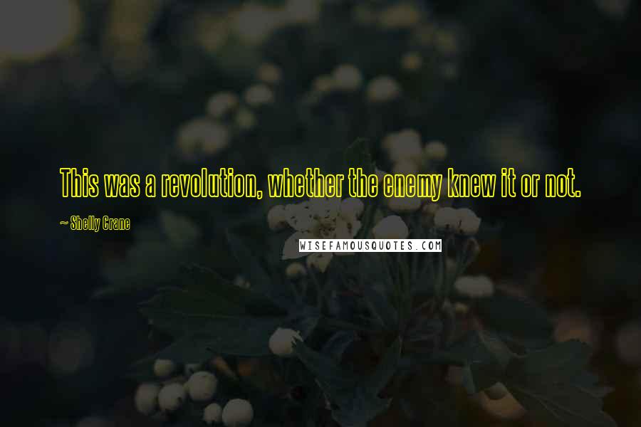 Shelly Crane Quotes: This was a revolution, whether the enemy knew it or not.