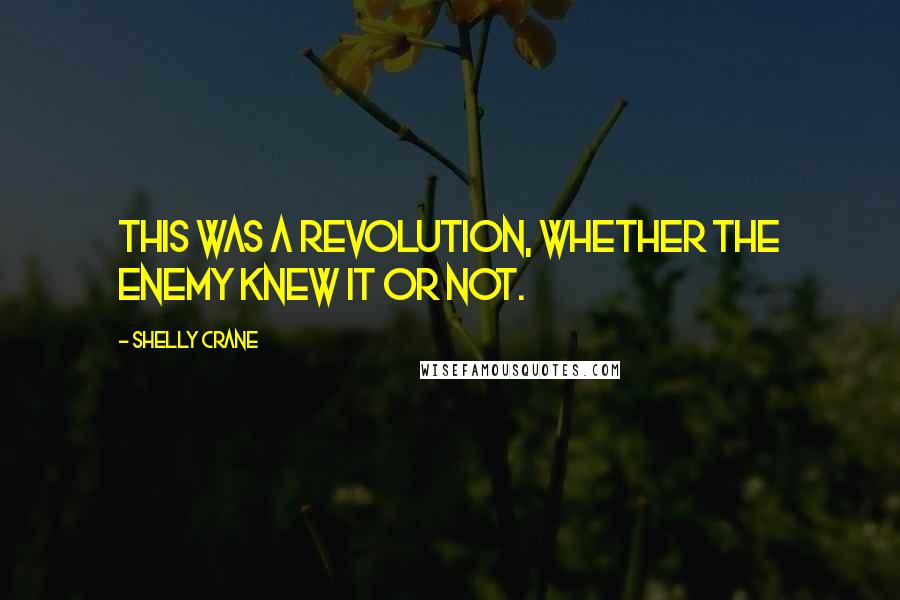 Shelly Crane Quotes: This was a revolution, whether the enemy knew it or not.