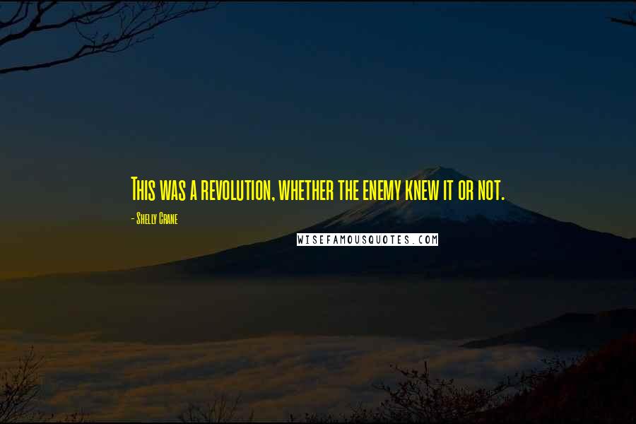 Shelly Crane Quotes: This was a revolution, whether the enemy knew it or not.
