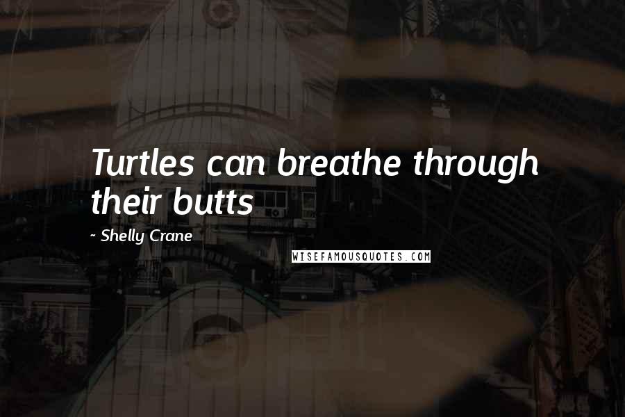 Shelly Crane Quotes: Turtles can breathe through their butts