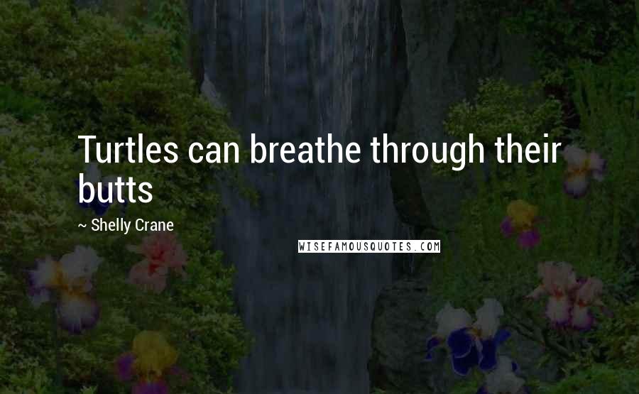 Shelly Crane Quotes: Turtles can breathe through their butts