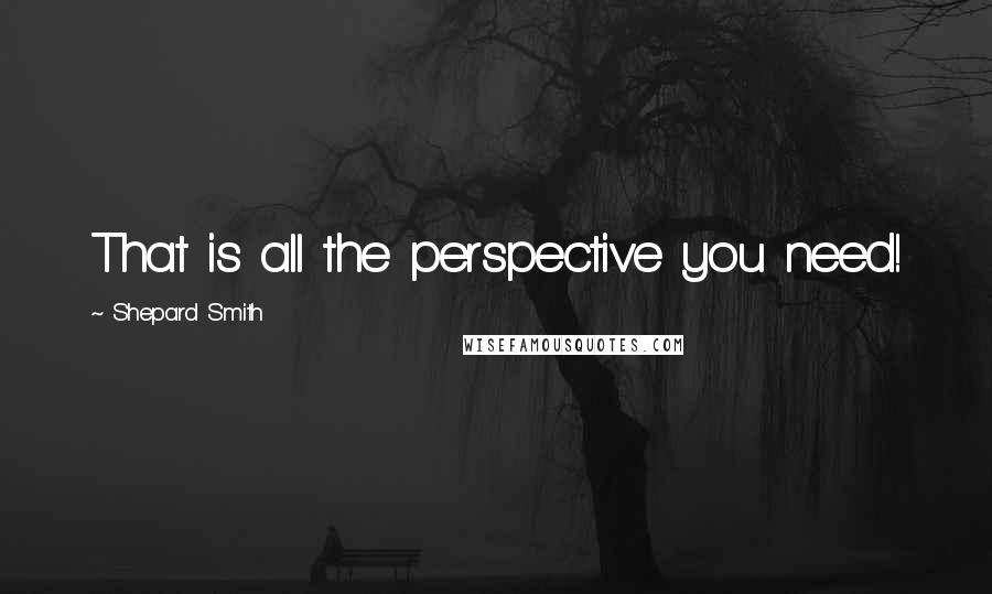 Shepard Smith Quotes: That is all the perspective you need!
