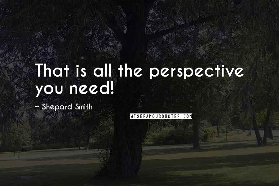 Shepard Smith Quotes: That is all the perspective you need!