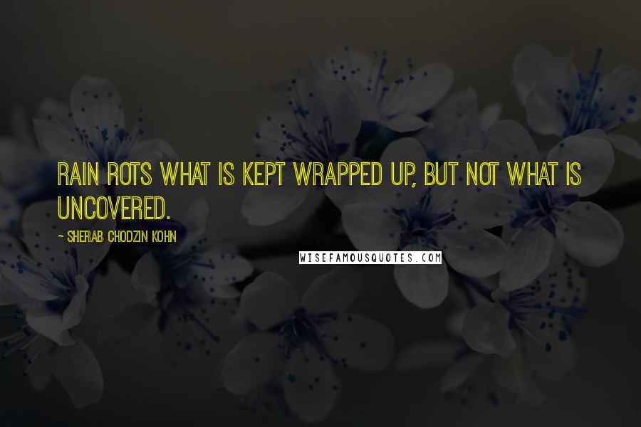 Sherab Chodzin Kohn Quotes: rain rots what is kept wrapped up, but not what is uncovered.