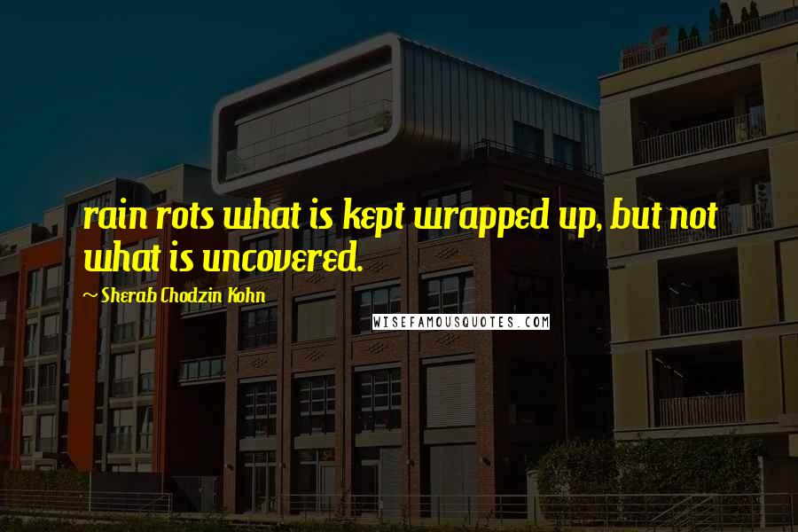 Sherab Chodzin Kohn Quotes: rain rots what is kept wrapped up, but not what is uncovered.