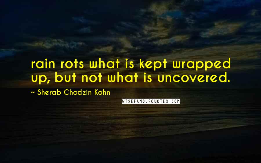 Sherab Chodzin Kohn Quotes: rain rots what is kept wrapped up, but not what is uncovered.