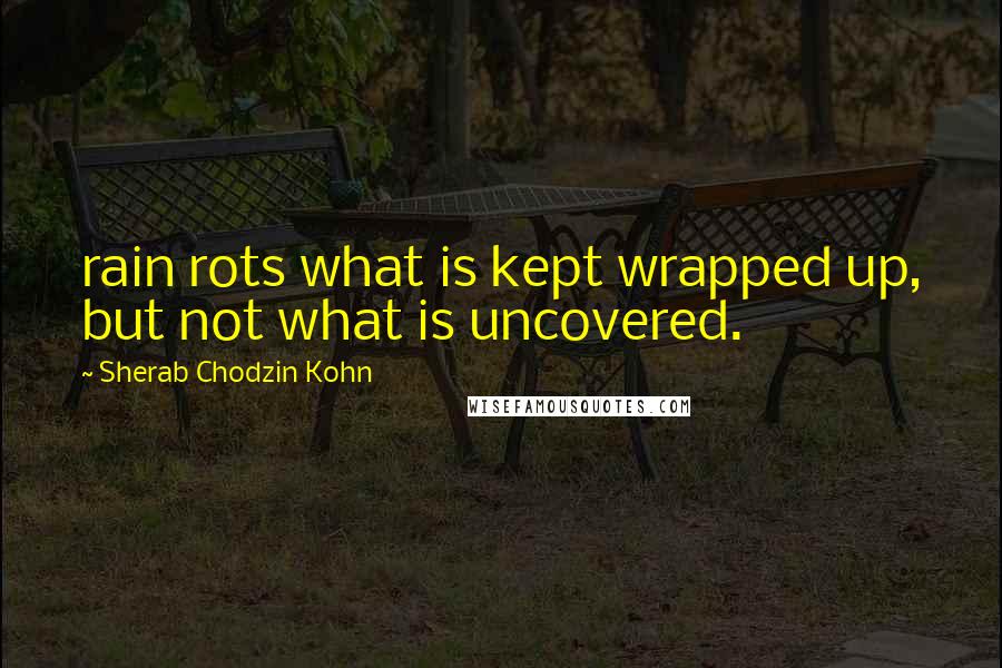 Sherab Chodzin Kohn Quotes: rain rots what is kept wrapped up, but not what is uncovered.