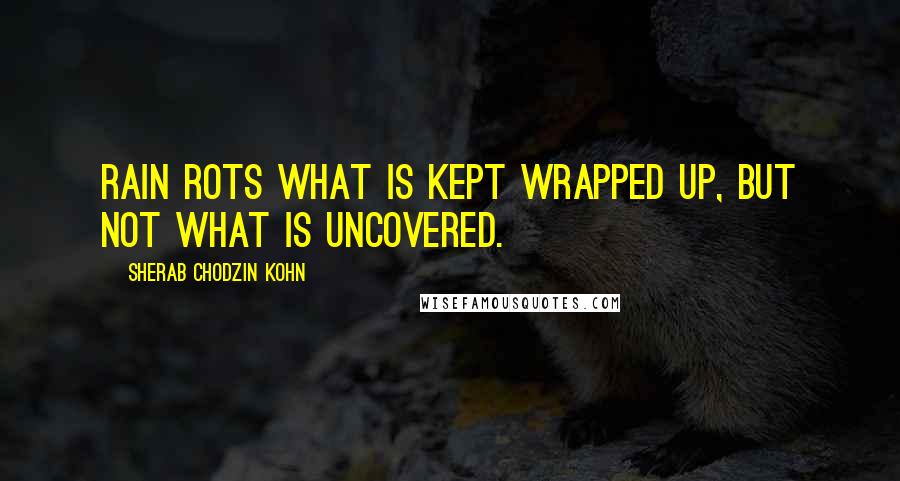 Sherab Chodzin Kohn Quotes: rain rots what is kept wrapped up, but not what is uncovered.