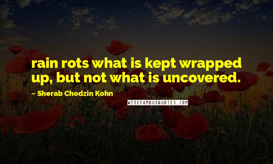 Sherab Chodzin Kohn Quotes: rain rots what is kept wrapped up, but not what is uncovered.