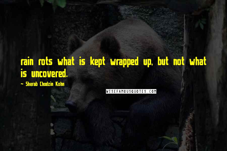 Sherab Chodzin Kohn Quotes: rain rots what is kept wrapped up, but not what is uncovered.