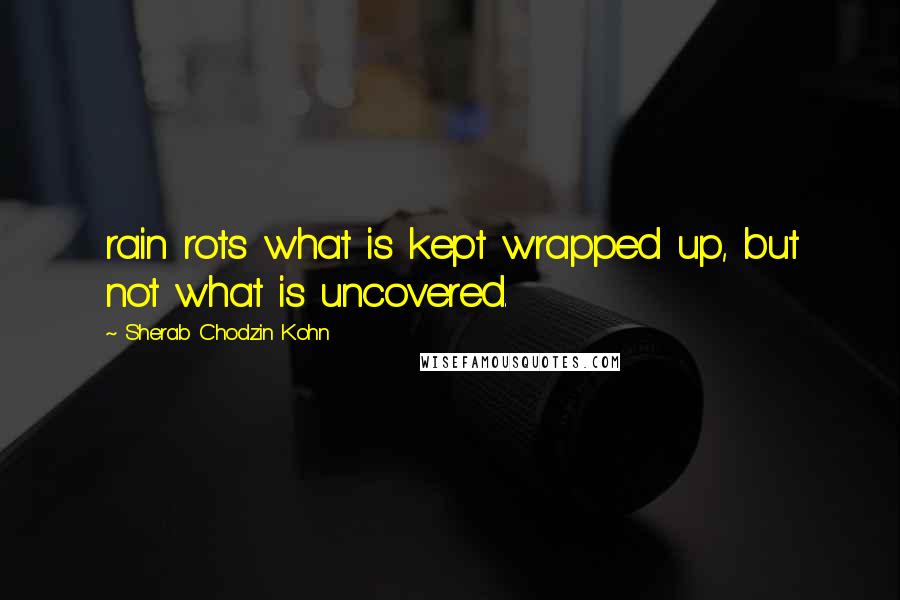 Sherab Chodzin Kohn Quotes: rain rots what is kept wrapped up, but not what is uncovered.