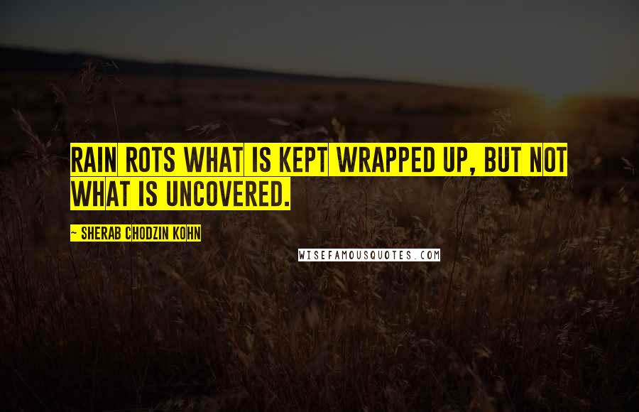 Sherab Chodzin Kohn Quotes: rain rots what is kept wrapped up, but not what is uncovered.