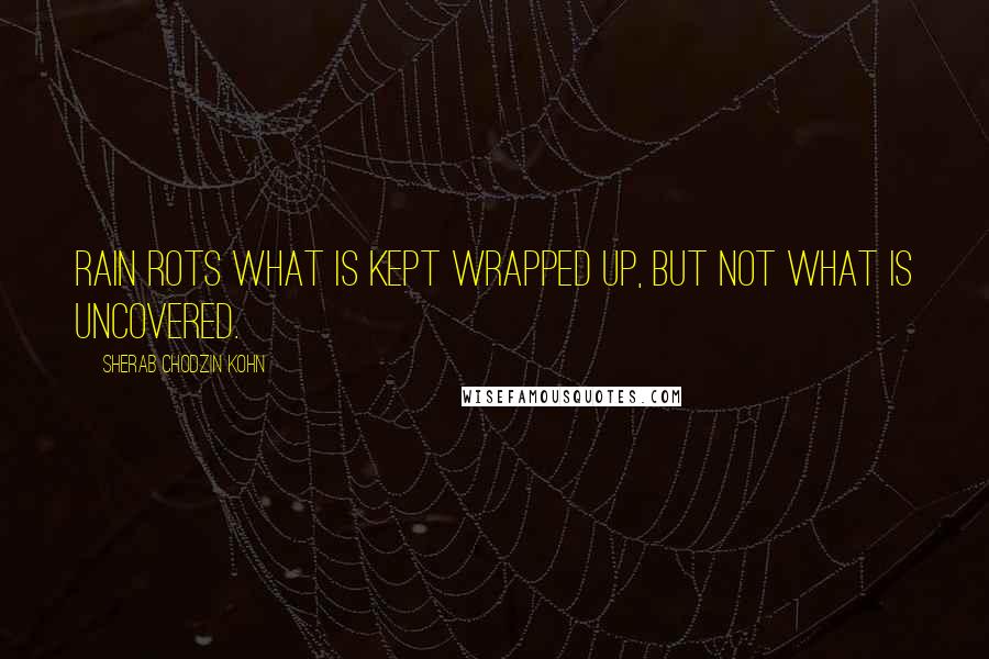 Sherab Chodzin Kohn Quotes: rain rots what is kept wrapped up, but not what is uncovered.