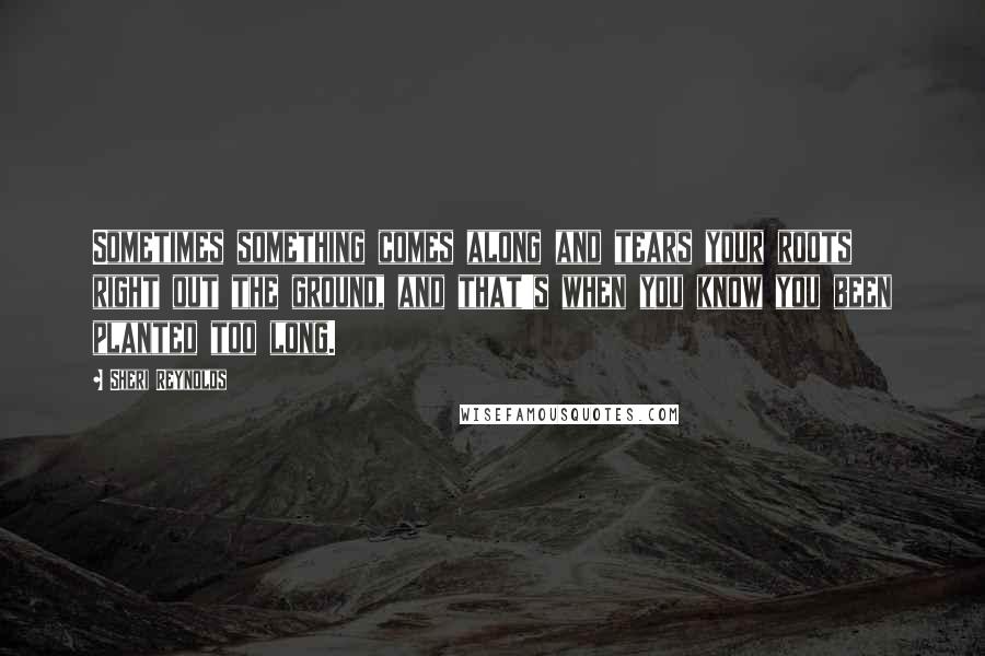 Sheri Reynolds Quotes: Sometimes something comes along and tears your roots right out the ground, and that's when you know you been planted too long.