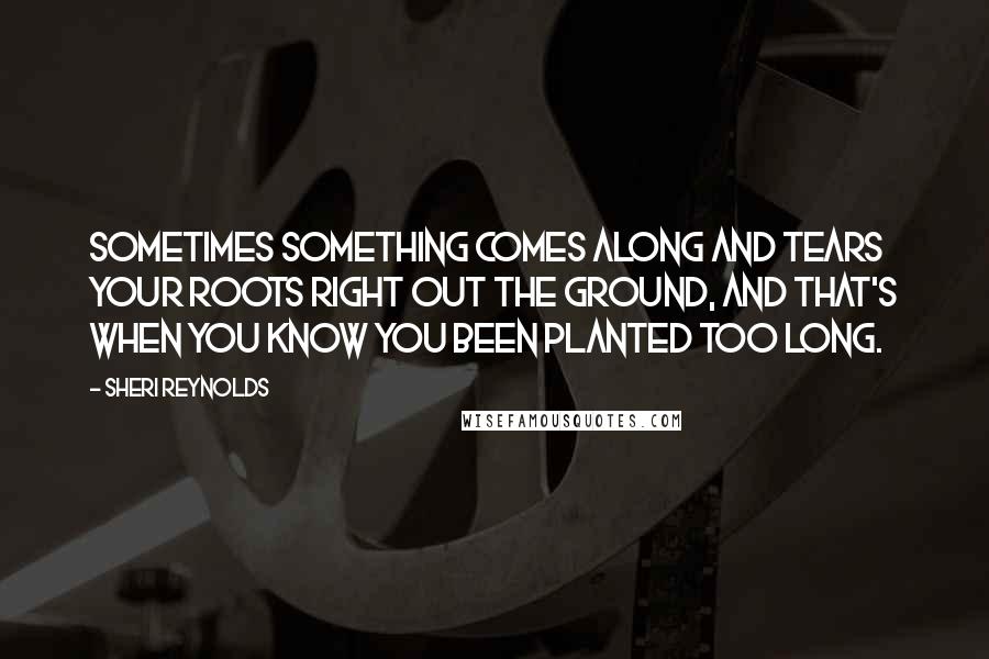 Sheri Reynolds Quotes: Sometimes something comes along and tears your roots right out the ground, and that's when you know you been planted too long.