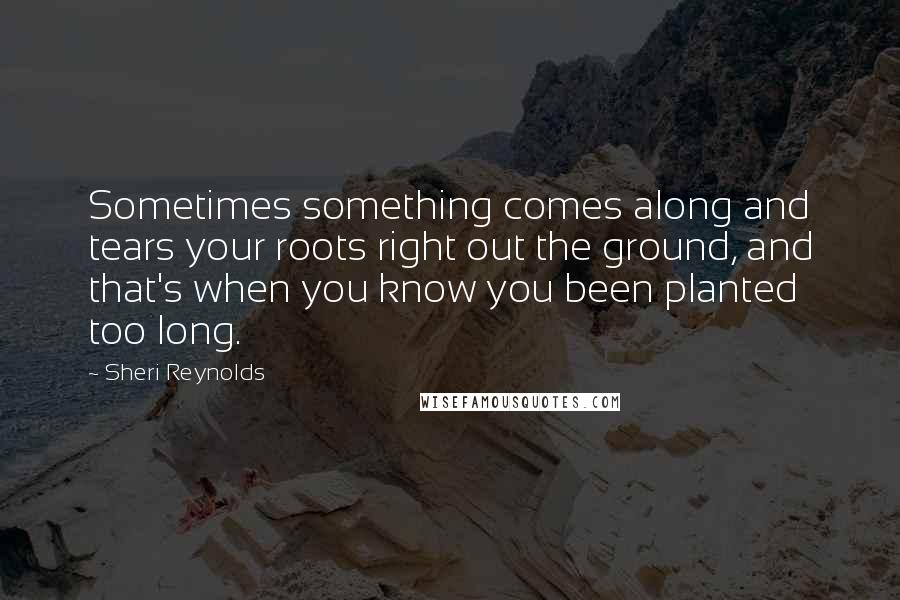 Sheri Reynolds Quotes: Sometimes something comes along and tears your roots right out the ground, and that's when you know you been planted too long.