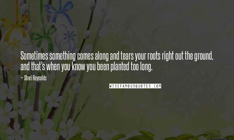 Sheri Reynolds Quotes: Sometimes something comes along and tears your roots right out the ground, and that's when you know you been planted too long.