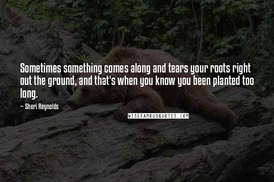 Sheri Reynolds Quotes: Sometimes something comes along and tears your roots right out the ground, and that's when you know you been planted too long.